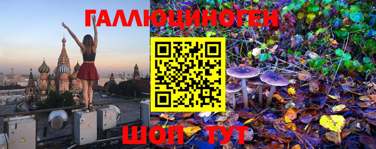 Галлюциногенные грибы Cubensis  Вход с VPN  Новокубанск 