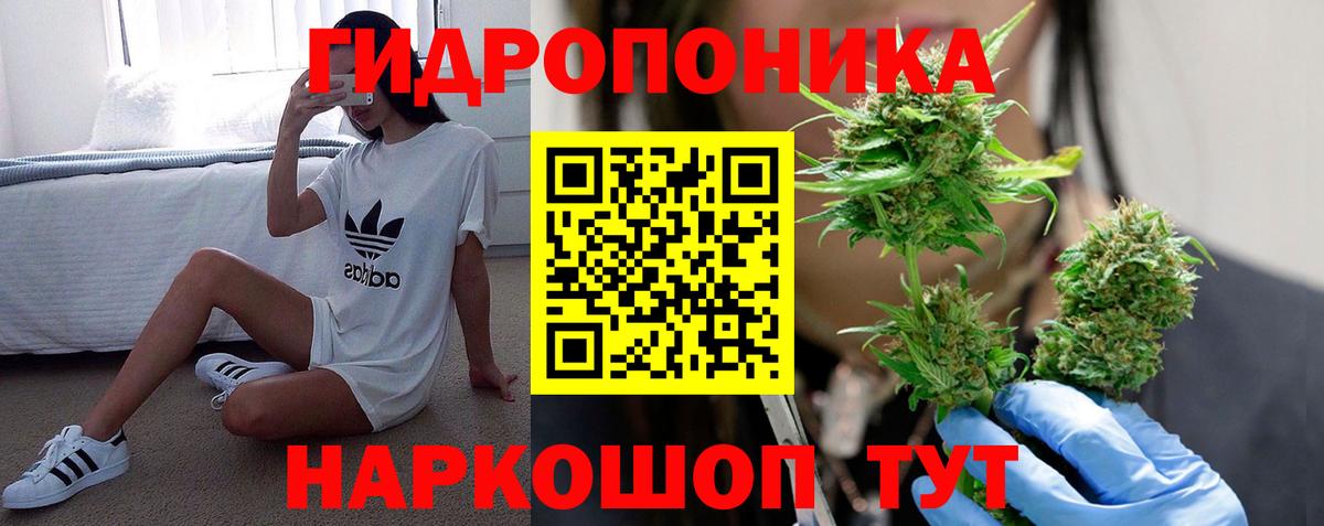 Шишки марихуана Amnesia Новокубанск